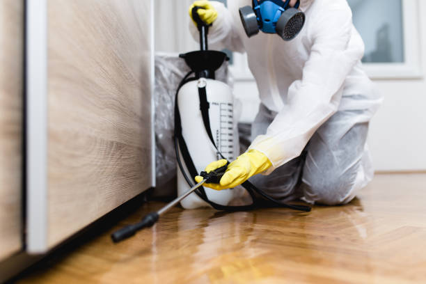 Best Insect Control  in Gold Hill, OR