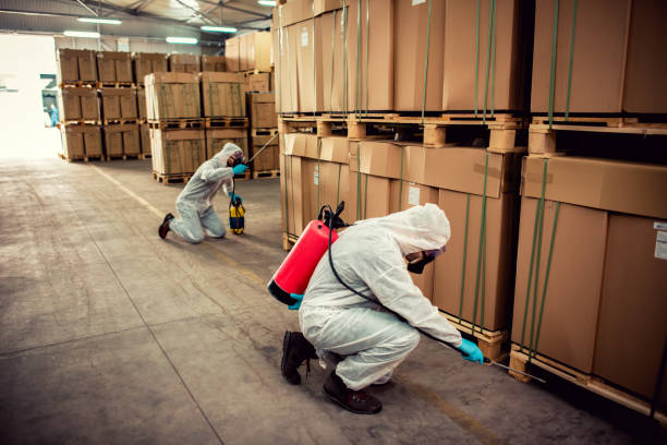 Trusted Gold Hill, OR Pest Control Experts