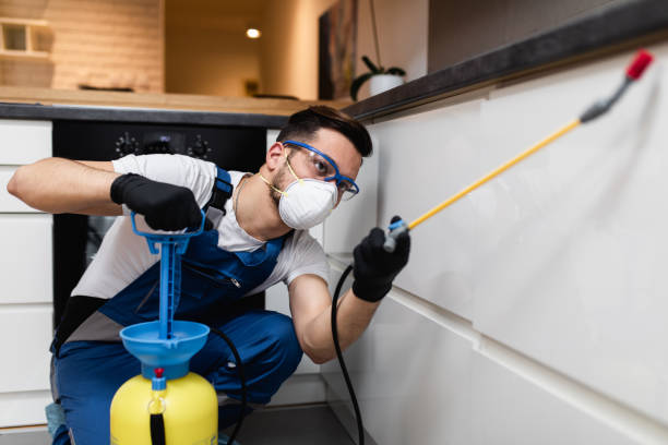 Best Affordable Pest Control Services  in Gold Hill, OR