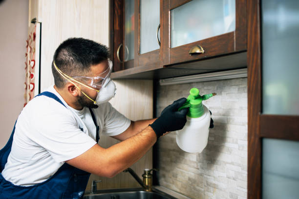 Best Insect Control  in Gold Hill, OR