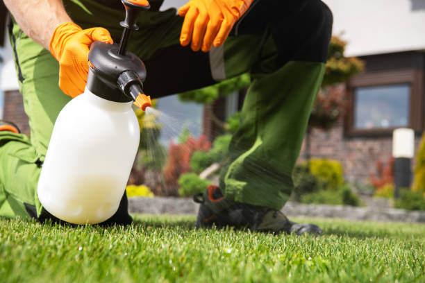Best Pest Control Treatment  in Gold Hill, OR