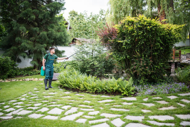 Best Bird Control  in Gold Hill, OR
