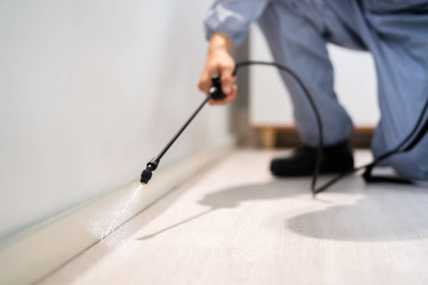 Best Best Pest Control Companies  in Gold Hill, OR