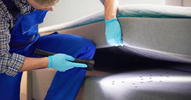 Best Best Pest Control Near Me  in Gold Hill, OR