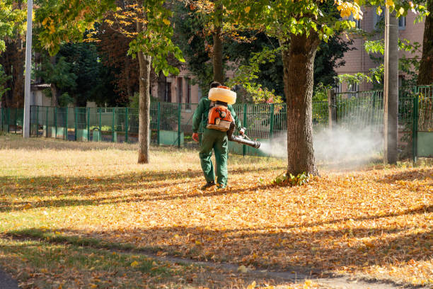 Best Mosquito Control Services  in Gold Hill, OR