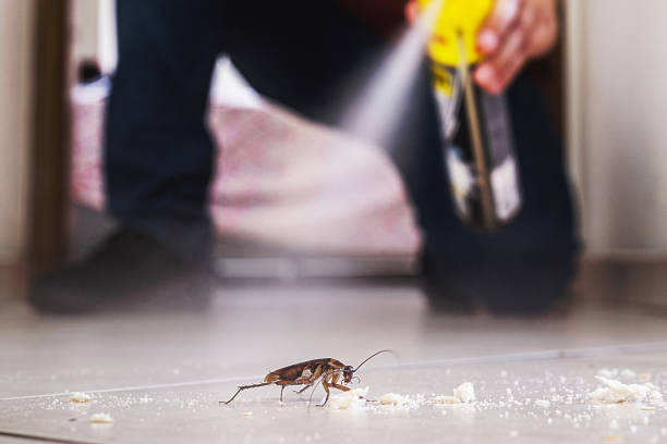 Gold Hill, OR Pest Control Company