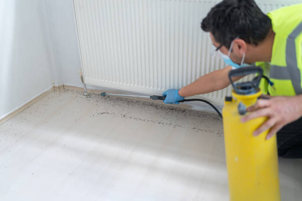 Best Cockroach Control Services  in Gold Hill, OR