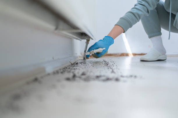 Best Pest Control Near Me in Gold Hill, OR